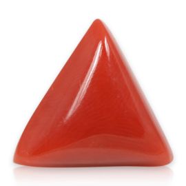 Red Coral (Moonga) - 5.88 Carat 