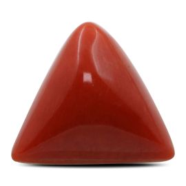 Red Coral (Moonga) - 13.28 Carat 