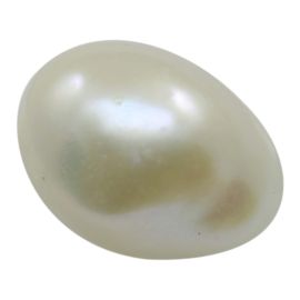 Fresh Water Keshi Pearl (Moti) K.C. Cts. 7.19 Ratti 7.91