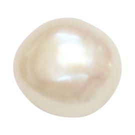 Fresh Water (K.C.) Keshi Pearl (Moti) Cts 5.54 Ratti 6.09