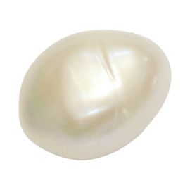 Fresh Water (K.C.) Keshi Pearl (Moti) Cts 6.29 Ratti 6.92