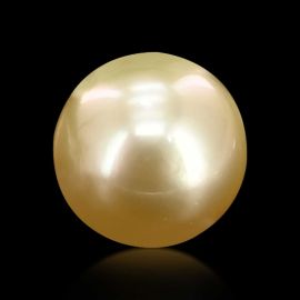 South Sea Pearl Carat 6.2 