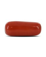 Red Coral (Moonga) - 6 Carat 