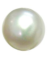 Natural Fresh Water Pearl (Moti) Cts. 7.49 Ratti 8.23